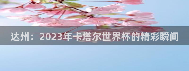 世界杯足球赛2026：达州：2023年卡塔尔世界杯的精彩瞬间