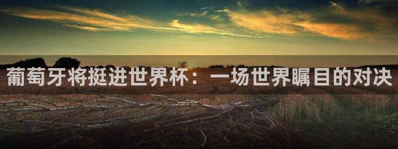 足球世界杯：葡萄牙将挺进世界杯：一场世界瞩目的对决