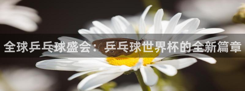 世界杯预选赛欧洲区赛程：全球乒乓球盛会：乒乓球世界杯的全新篇章