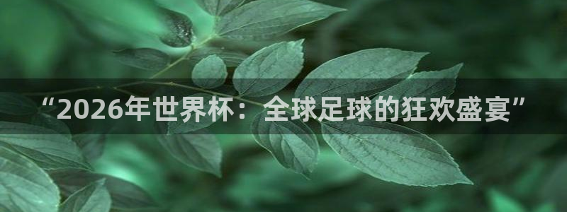 欧洲世界杯预选赛赛程：“2026年世界杯：全球足球的狂欢盛宴”