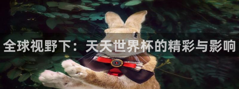 世预赛直播：全球视野下：天天世界杯的精彩与影响