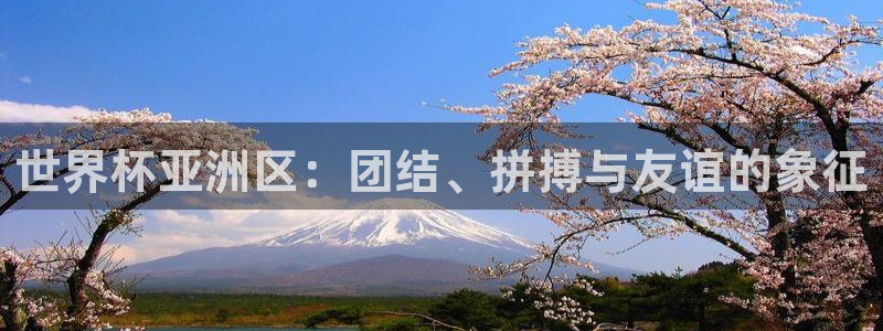 世界杯转播表：世界杯亚洲区：团结、拼搏与友谊的象征