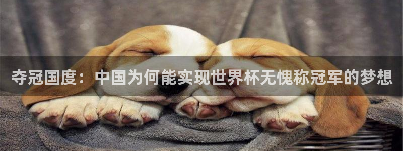 2026足球世界杯赛程时间表:夺冠国度:中国为何能实现世界杯无愧称冠军的梦想