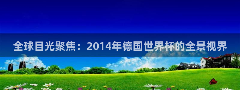 足球比分直播世界杯：全球目光聚焦：2014年德国世界杯的全景视界