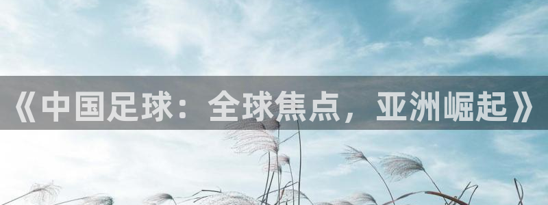 预选赛世界杯：《中国足球：全球焦点，亚洲崛起》