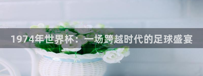 欧洲世界杯预选赛：1974年世界杯：一场跨越时代的足球盛宴