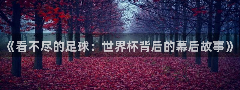 2026年世界杯赛程时间表格