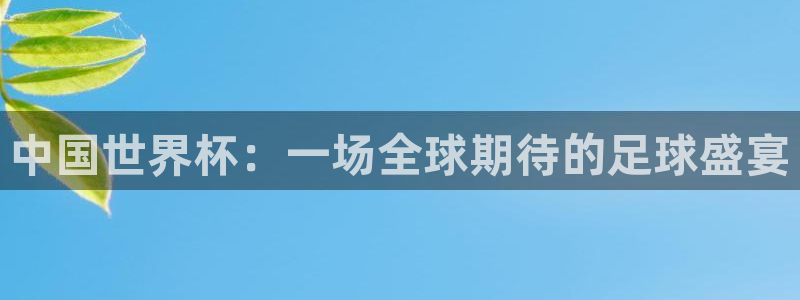 英格兰联赛杯直播：中国世界杯：一场全球期待的足球盛宴