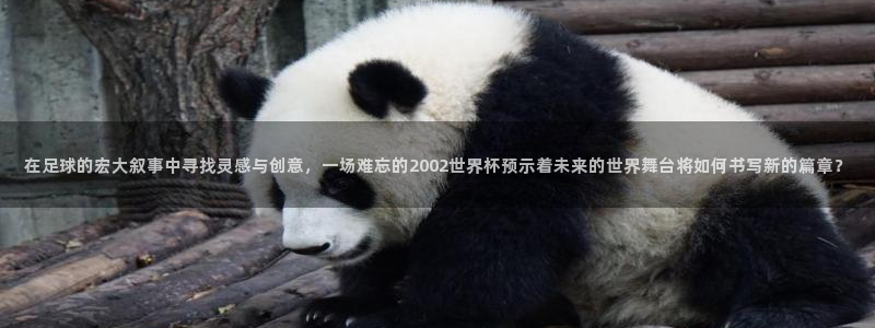世界杯预赛赛程：在足球的宏大叙事中寻找灵感与创意，一场难忘的2002世界杯预示着未来的世界舞台将如何书写新的篇章？