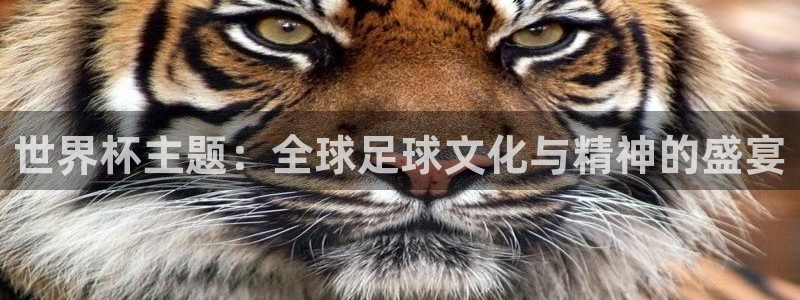 世界杯在线直播入口：世界杯主题：全球足球文化与精神的盛宴