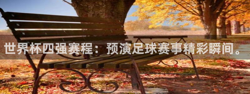 世界杯附加赛赛程表：世界杯四强赛程：预演足球赛事精彩瞬间。