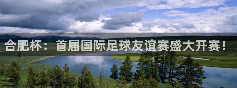 世界杯欧洲区世预赛赛程：合肥杯：首届国际足球友谊赛盛大开赛！