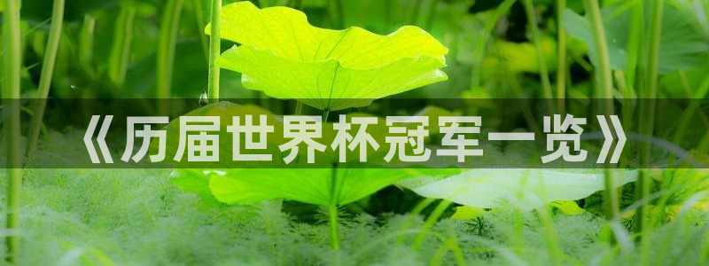 2026世界杯买球：《历届世界杯冠军一览》